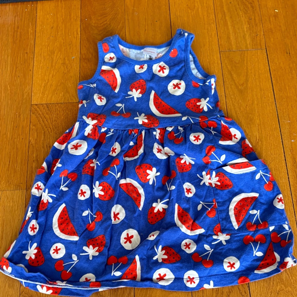 Hanna Andersson Blue Dress with Red & White Fruit Print